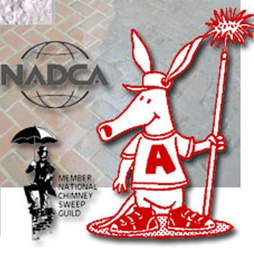 old aardvark logo