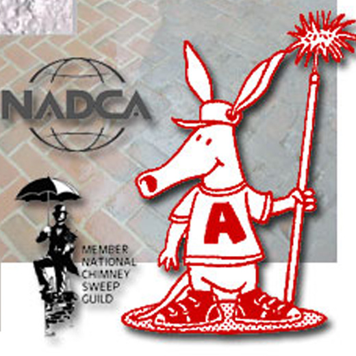 aardvark air logos